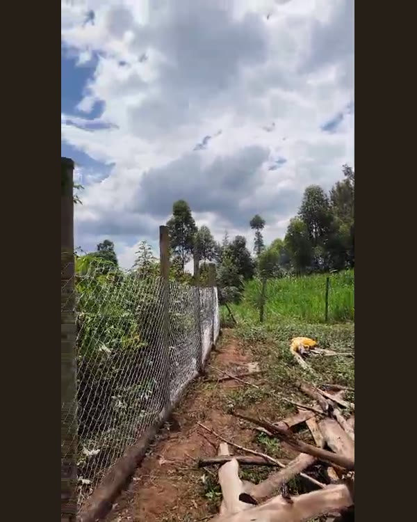 Chain-link installed — The fencing