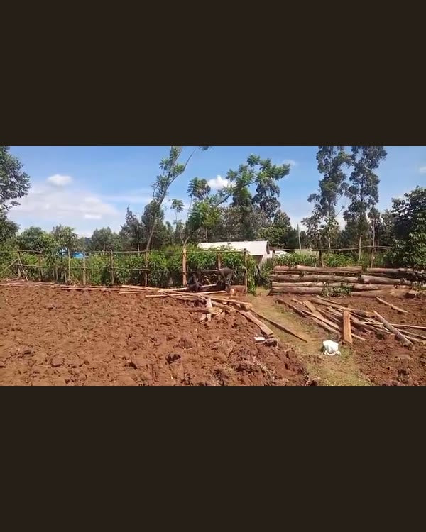 Cleared ground — Groundwork