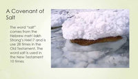 Hand Harvested Organic Qualified Mineral Salt