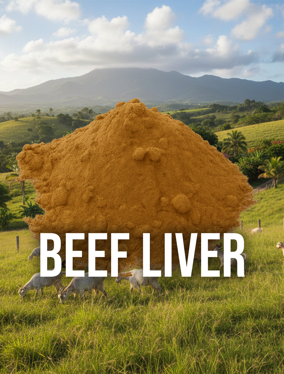 Beef Liver Capsules
