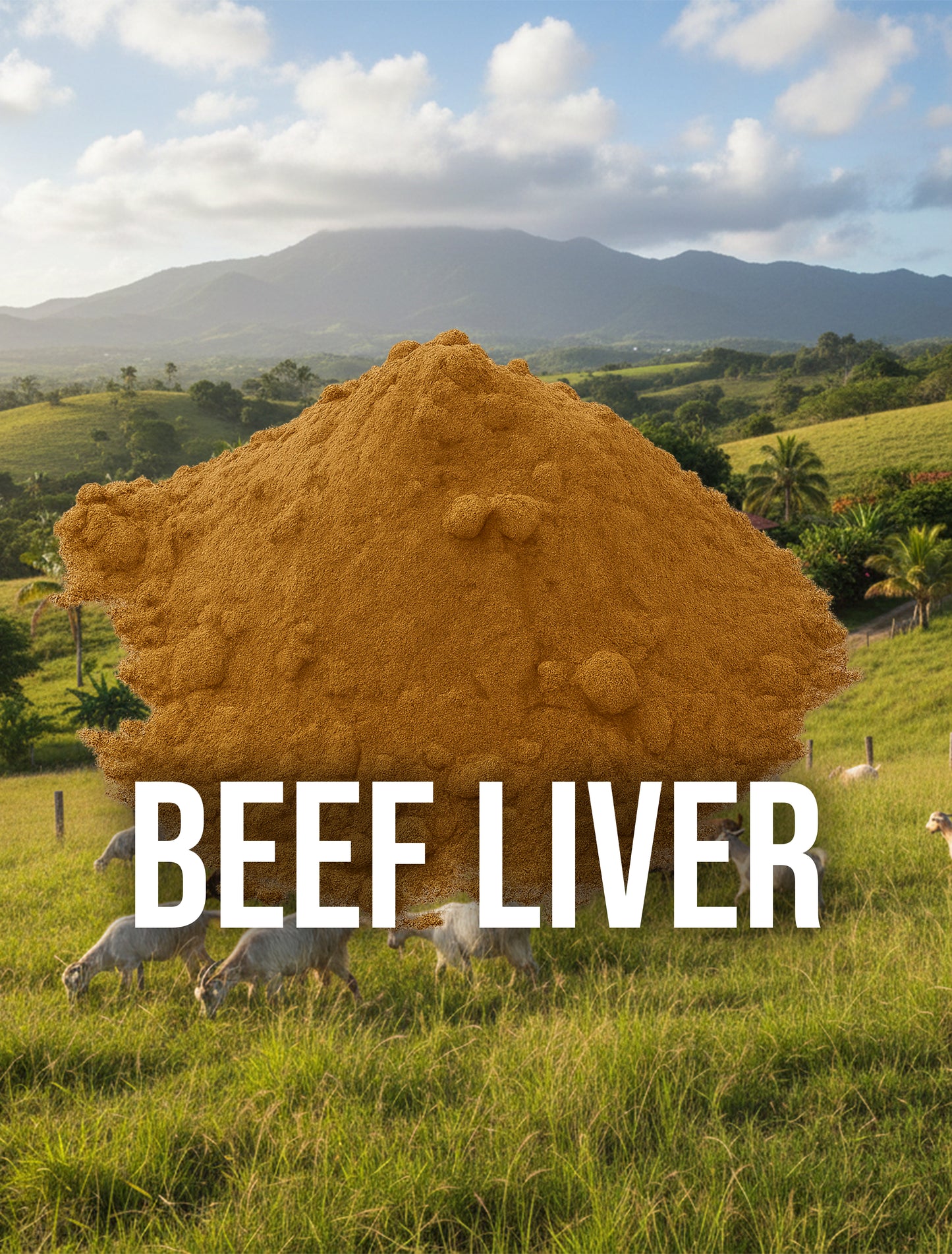 Beef Liver
