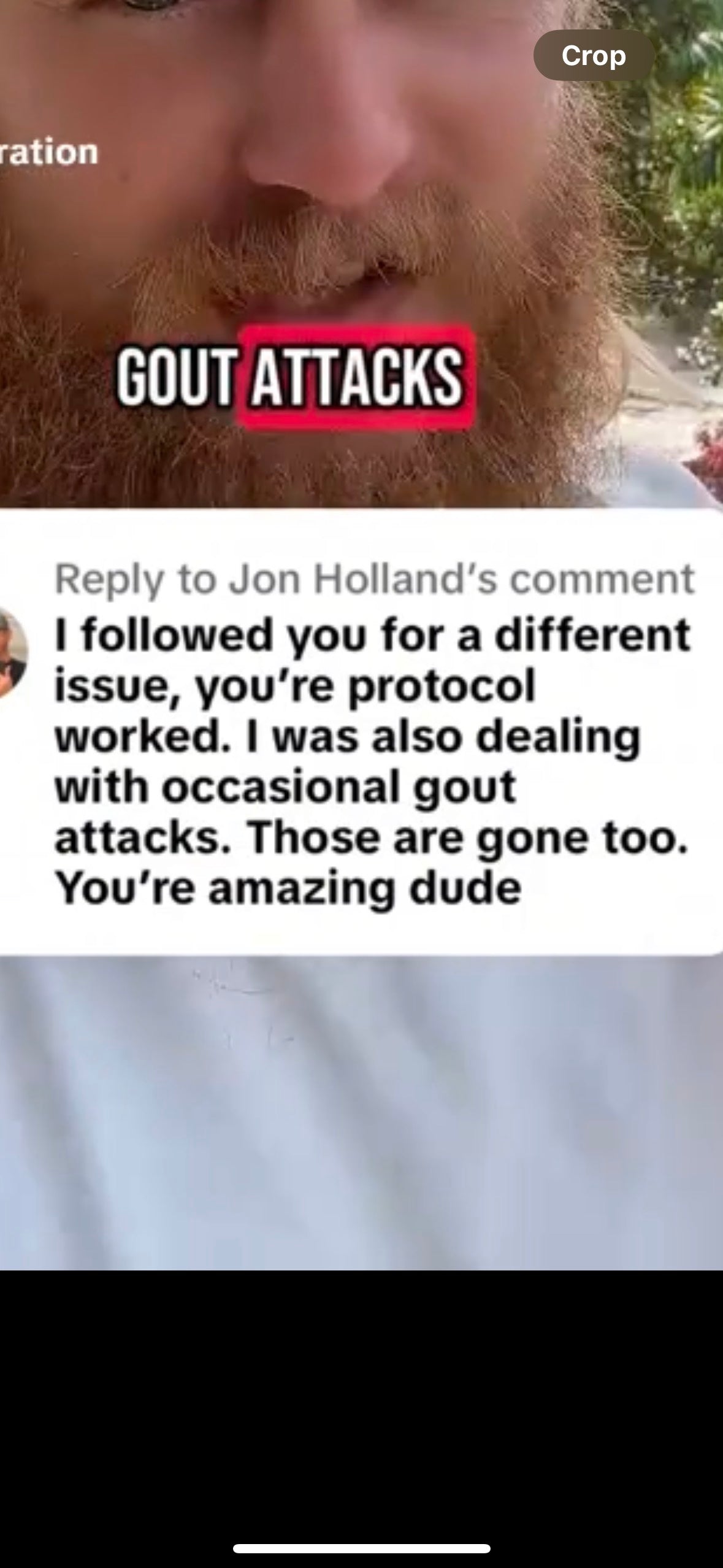 Organic Key Limes 5 lbs