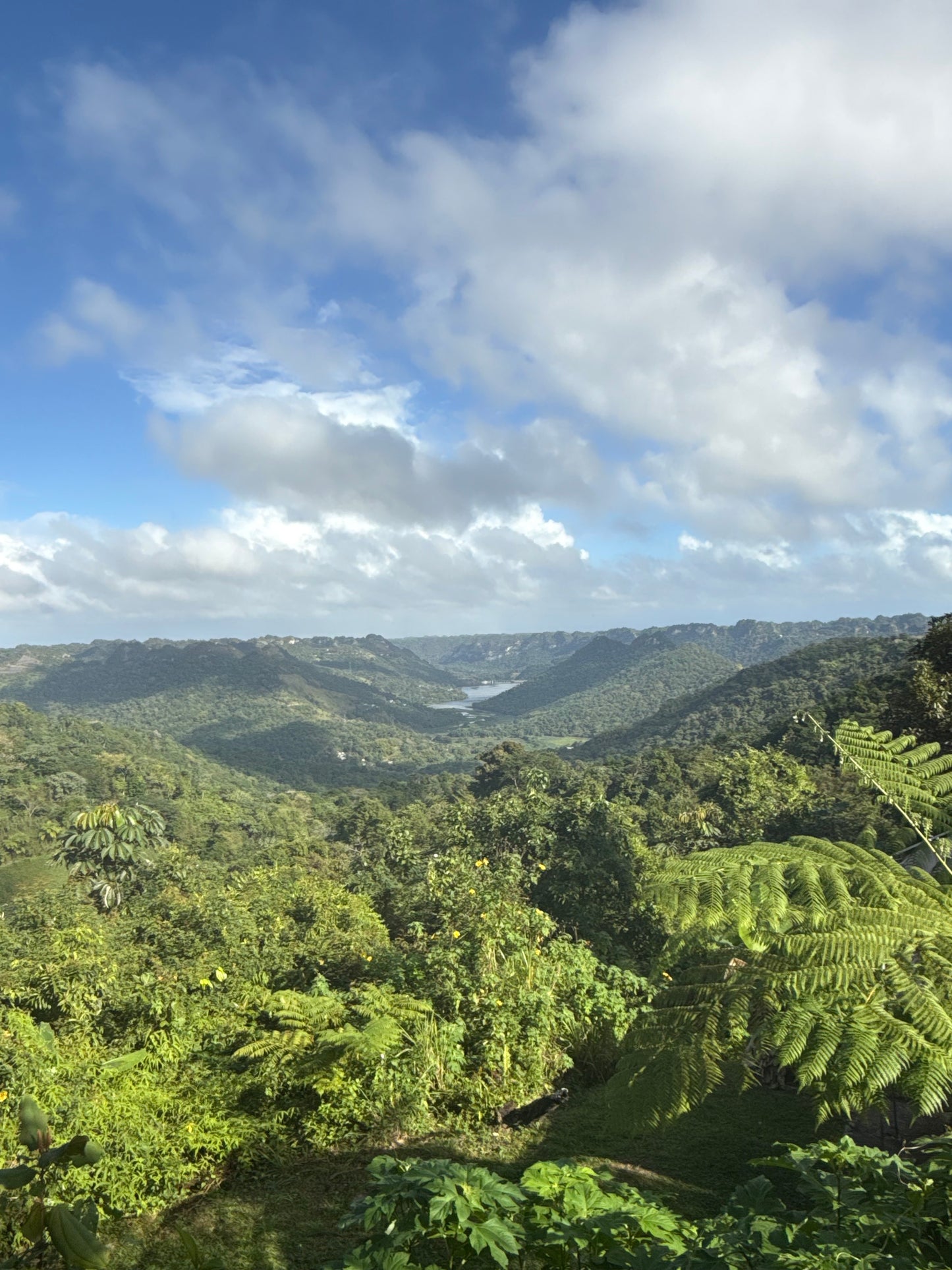 ALL INCLUSIVE UTUADO PR RETREAT (Main Apartment)