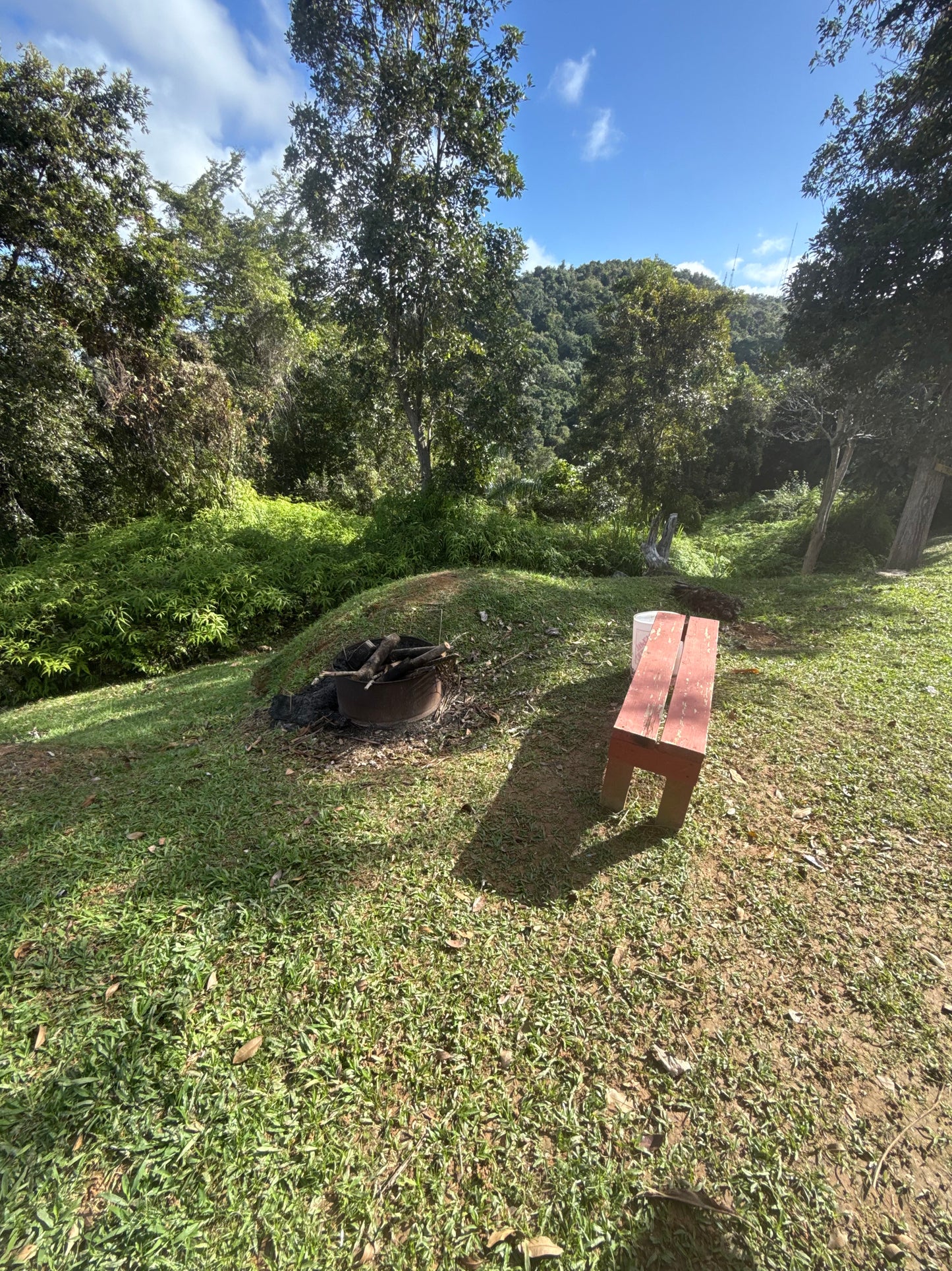 ALL INCLUSIVE UTUADO PR RETREAT (Main Apartment)