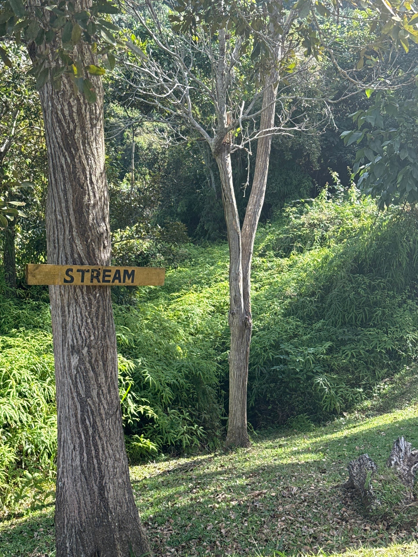 ALL INCLUSIVE UTUADO PR RETREAT (Main Apartment)