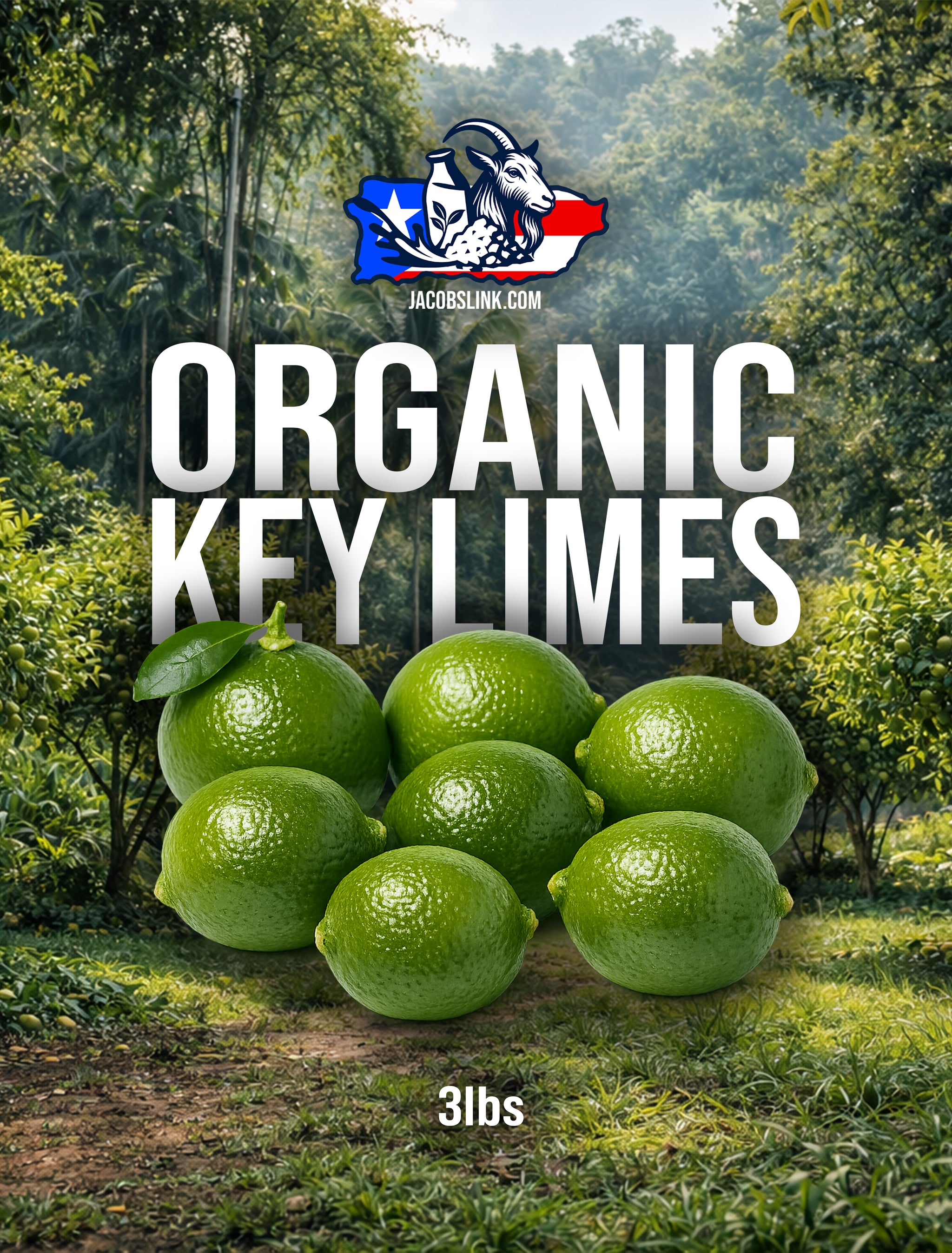Organic Key Limes 3 lbs – Jacob's ReGENEration