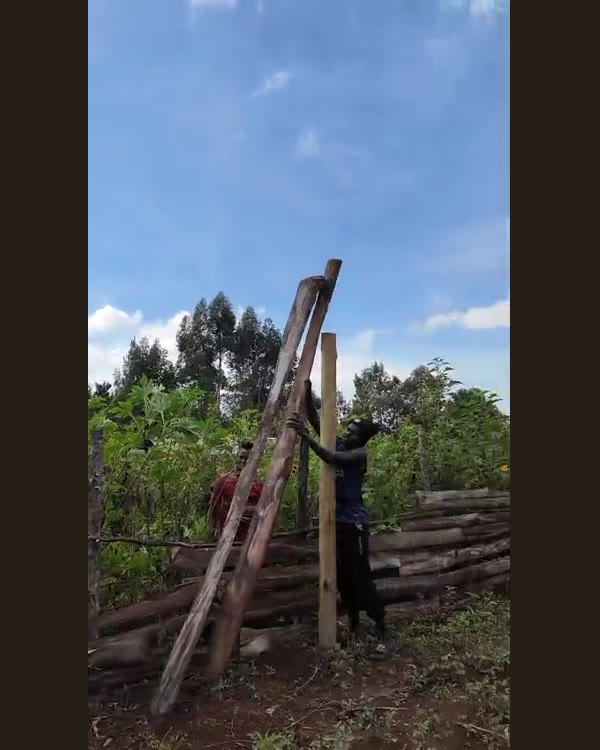 Setting the posts — The fencing